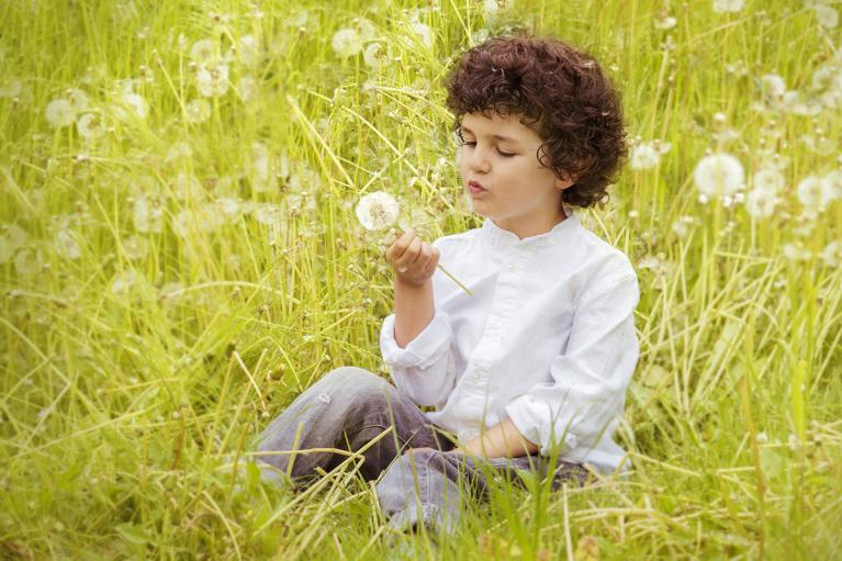 Curiosité, émerveillement, apprendre en faisant