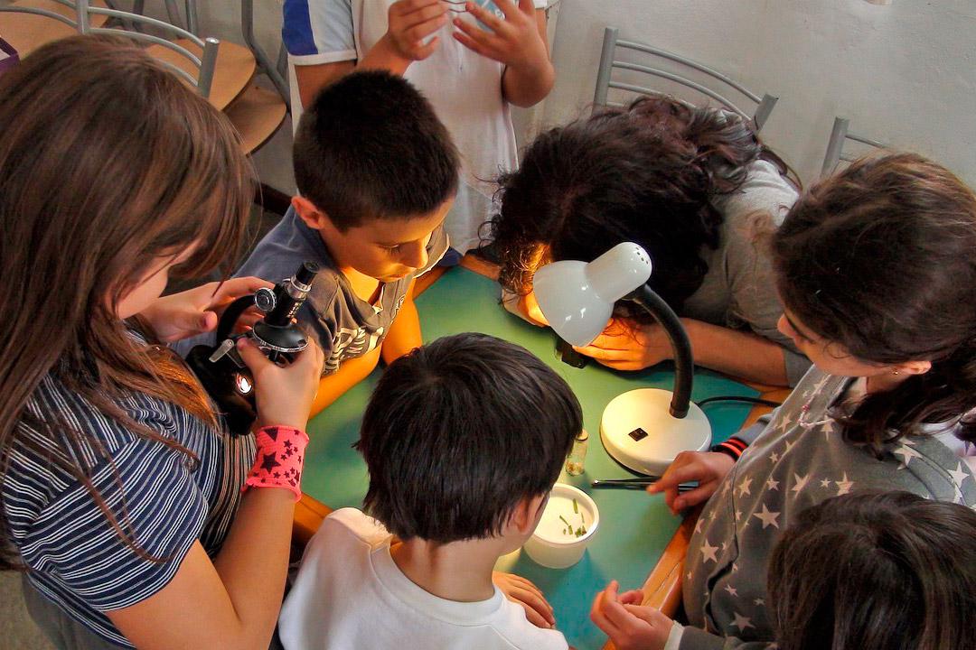 Projets innovants, curiosité, créativité