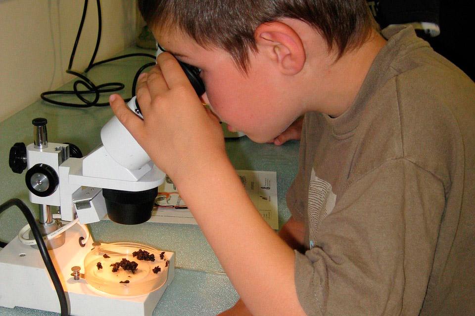 Projets scientifiques, esprit de découverte